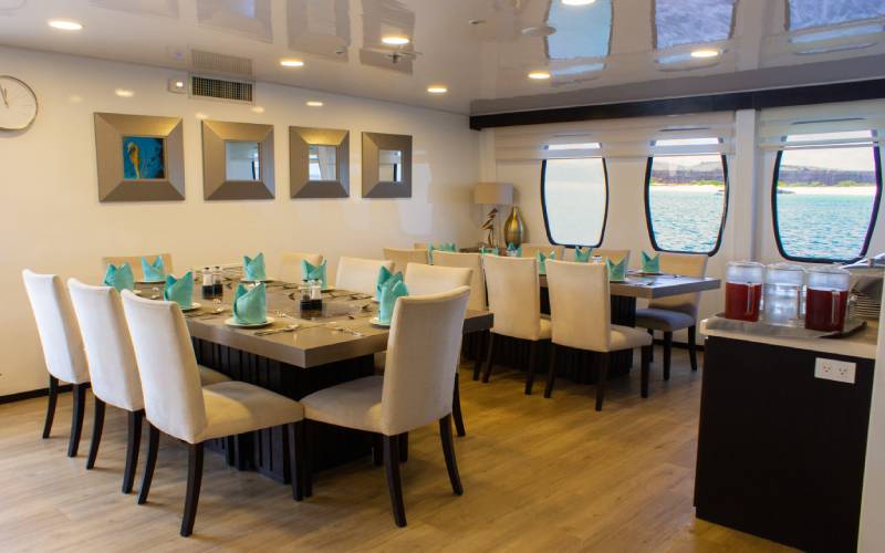 alya dining room cruise to Galapagos