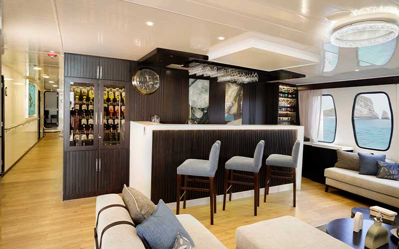 experience in the bar of alya