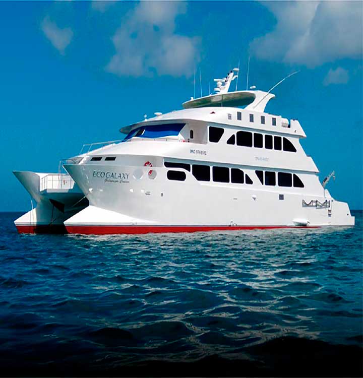 ecogalaxy catamaran view exterior