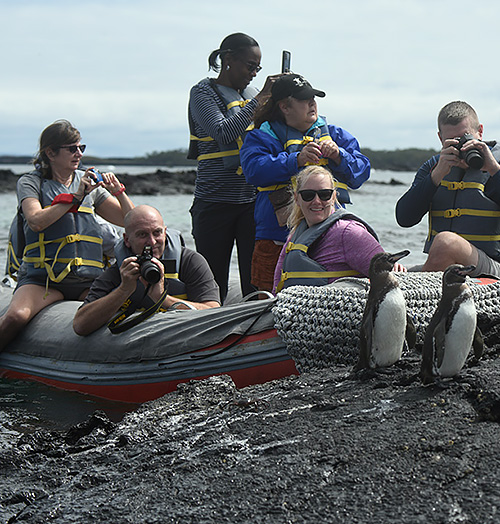 See endemic species in their natural habitat with panga Galaxy Daily Tour