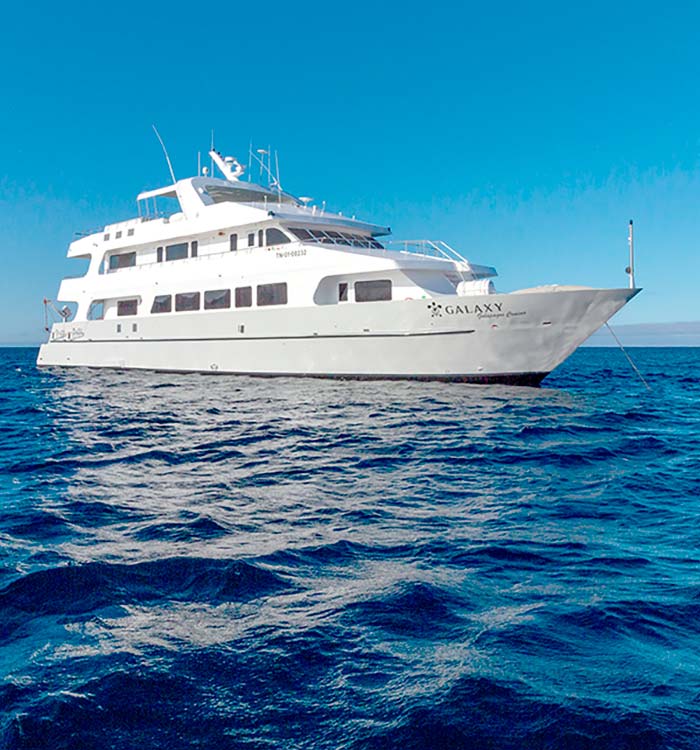 galaxy catamaran travel Cruise to Galapagos