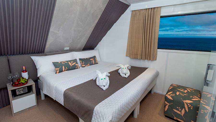 galaxy cabin matrimonial cruise to Galapagos