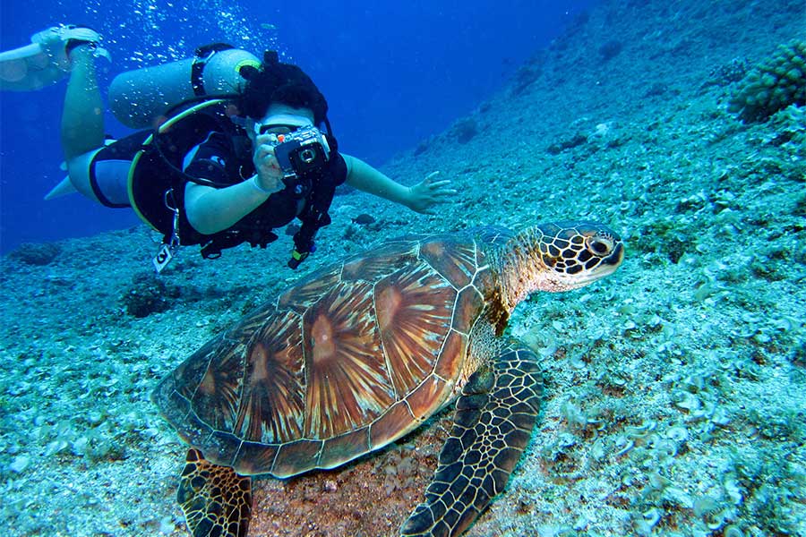 Diving Galapagos Cruise - Galaxy Diver Yacht