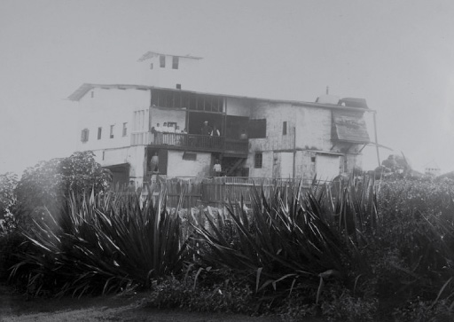 Galapagos: First House