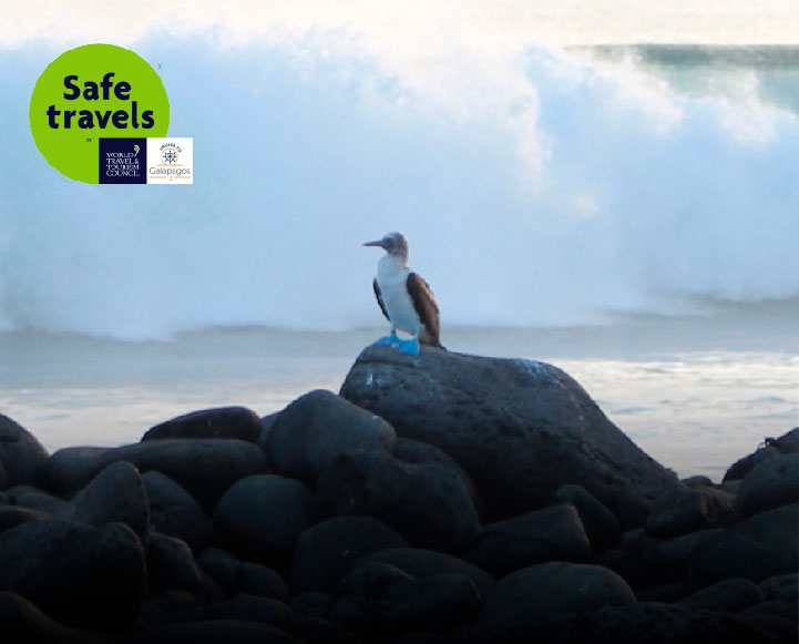 Galapagos Islands - FAQ