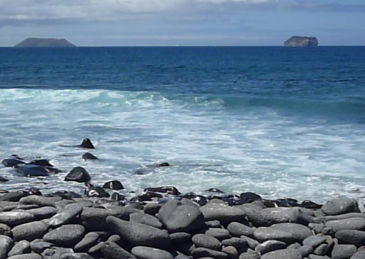 Galapagos: Seymour Beach