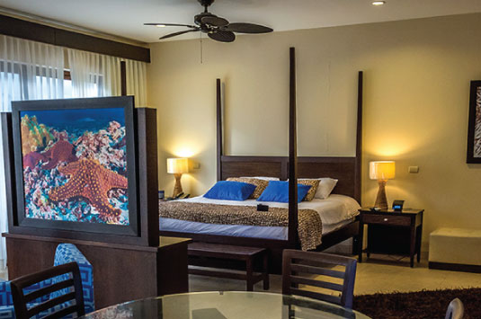 Galapagos: Palo Santo Suite