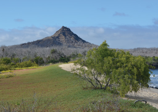 Galapagos Islands: Espa&ntilde;ola