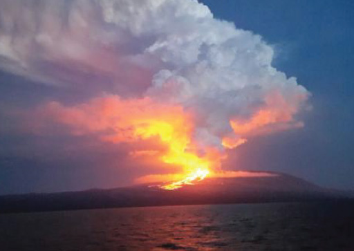 Galapagos Islands: Fernandina