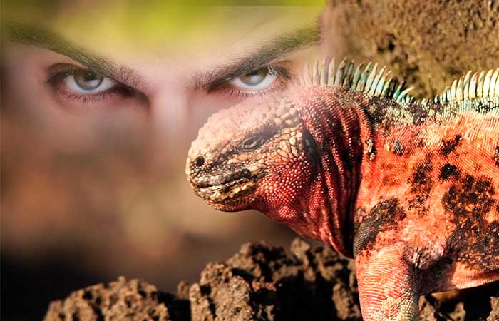 Galapagos Islands: Overluz History