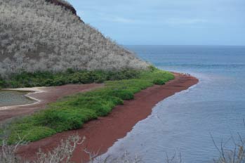 Galapagos: Rabida Island