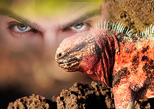 Interesting stories - Galapagos Islands